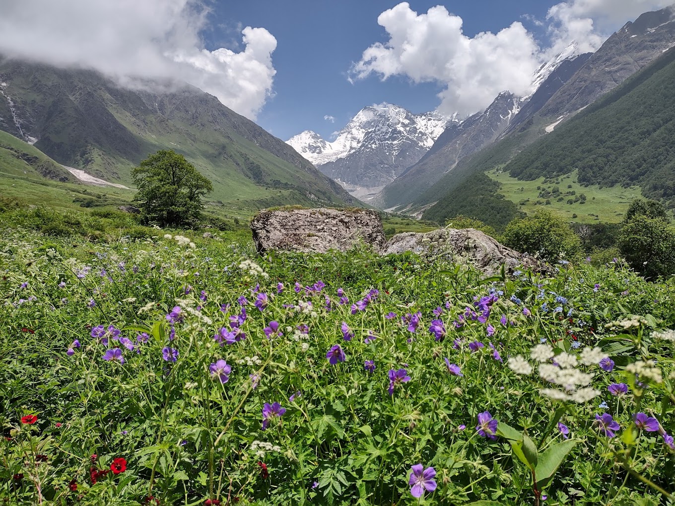 Uttarakhand